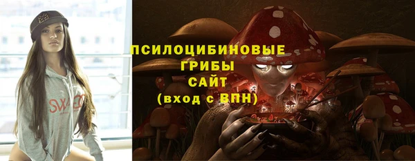 спиды Абаза