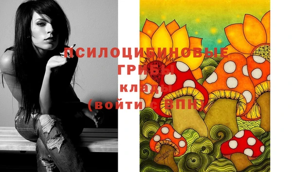 меф Алексин