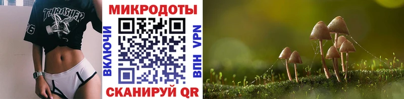 Псилоцибиновые грибы MAGIC MUSHROOMS  кракен tor  Тихвин 